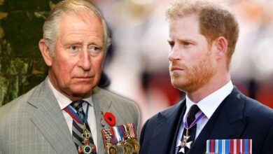 King Charles to Make a Major Ruling Regarding Prince Harry's Security