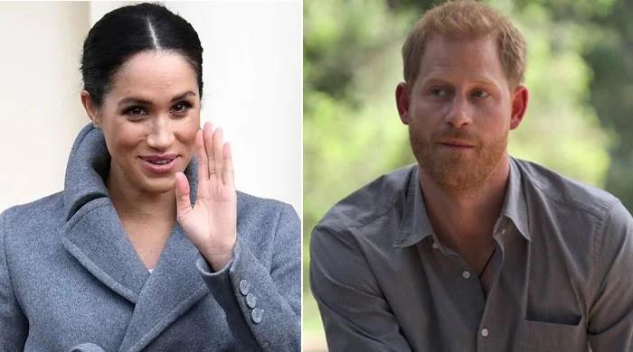 Meghan Markle's True Feelings About King Charles Peace Summit With Prince Harry Revealed