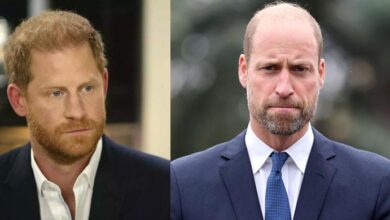 Prince William Sees Prince Andrew’s Collapse as Green Light to Strip Prince Harry and Meghan Markle of Privileges