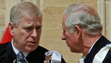 King Charles Ruthless Move Against Brother Prince Andrew Sends Shockwaves Through Palace
