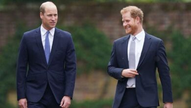Prince Harry Sends Bold Message to Prince William with Unexpected Move