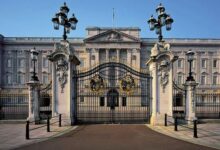 Buckingham Palace Reveals Unexpected Changes in Royal Line of Succession