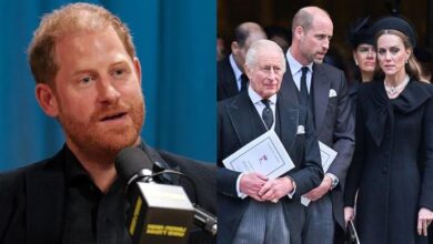 Prince Harry Shocks the Royal Family As He's Now Their Ultimate Role Model