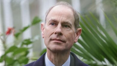 Shocking Turn in the Royal Drama As Prince Edward's Unexpected Support Emerges Following Andrew's Fallout