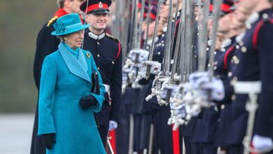 Princess Anne Surprises Fans by Revealing Her 'All Wet Babycat' Featuring in Public as a Surprise Tribute to King Charles
