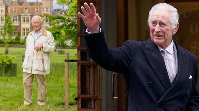 King Charles Survivor’s Shocking Story Will Leave You Speechless You’ll Never Believe How He Made It Through