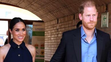 Shockwaves in the Royal Realm As Prince Harry’s Surprise UK Return Sparks Reactions from Royal Experts
