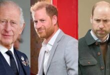 Prince Harry Bows to Prince William with Patriotic Gesture Signals New Era for Future Monarchy