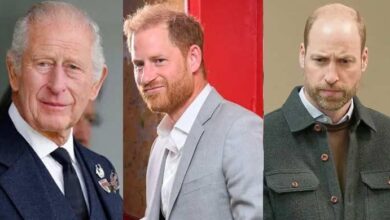 Prince Harry Bows to Prince William with Patriotic Gesture Signals New Era for Future Monarchy