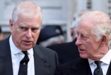 King Charles Legal Team Scrambles as Prince Andrew Faces Major New Troubles