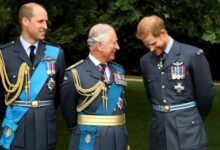 King Charles’s Latest Update Sparks Excitement as Prince William and Prince Harry Join Forces for Major Cause
