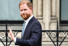 Prince Harry Reveals Insider Secrets to the Royal Family Before Jaw Dropping Announcement