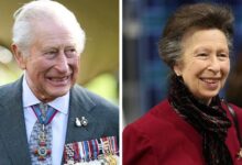 King Charles Celebrates Princess Anne as Critical Meeting Unveils Unexpected Solution to Andrew Crisis