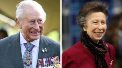 King Charles Celebrates Princess Anne as Critical Meeting Unveils Unexpected Solution to Andrew Crisis