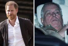 Prince Harry Refuses To Be Drawn Into Andrew Drama As He Takes Bold Stand During Major Visit