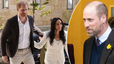 Prince Harry And Meghan Markle Markle’s Secret Move Sparks Hope For Prince William Reunion