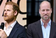 Prince Harry Avoids Major Clash With Prince William With Wise Strategy