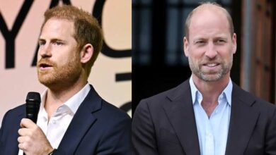 Prince Harry Avoids Major Clash With Prince William With Wise Strategy
