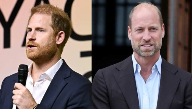 Prince Harry Avoids Major Clash With Prince William With Wise Strategy