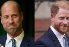 Prince William and Prince Harry Put Rift Aside As Brothers Align On Urgent Mission