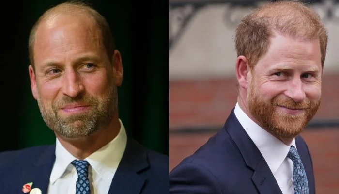 Prince William and Prince Harry Put Rift Aside As Brothers Align On Urgent Mission