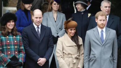Prince Harry and Meghan Markle Vindicated As Andrew Crisis Reignites Royal Family Debate