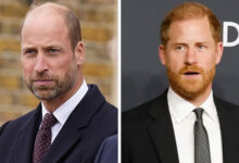 Prince William Sparks Hope For Prince Harry Truce With Decisive Move