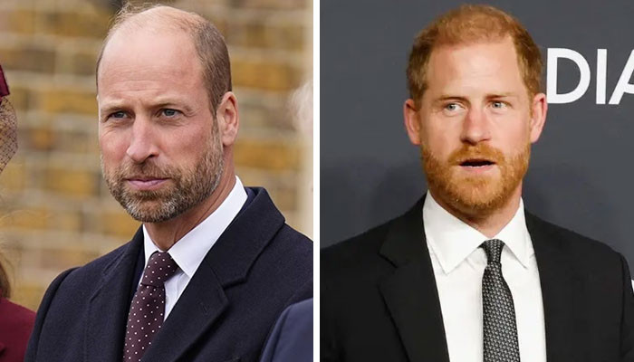 Prince William Sparks Hope For Prince Harry Truce With Decisive Move