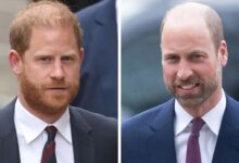 Prince Harry’s Bombshell Move Seen As Unexpected Boost For Prince William Amid Royal Shake Up