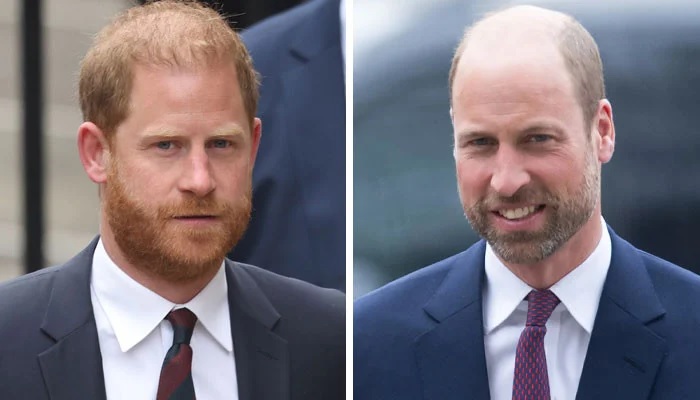 Prince Harry’s Bombshell Move Seen As Unexpected Boost For Prince William Amid Royal Shake Up