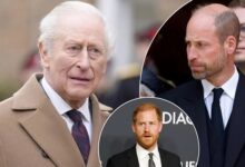 King Charles Issues Stern Warning To Prince William Over Prince Harry Rift