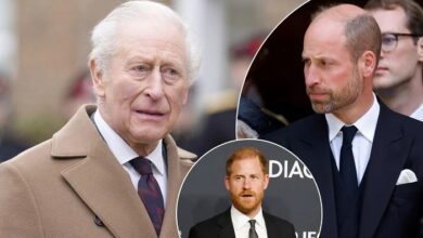 King Charles Issues Stern Warning To Prince William Over Prince Harry Rift