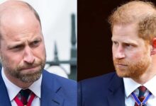 Prince William Reportedly Moves To Block Prince Harry From Throne In Stunning Royal Power Shift