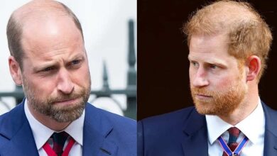 Prince William Reportedly Moves To Block Prince Harry From Throne In Stunning Royal Power Shift