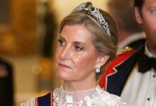 Duchess Sophie Skips Key Royal Banquet As Prince Edward Past Romance Sparks Fresh Palace Tension