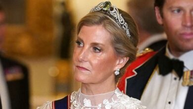 Duchess Sophie Skips Key Royal Banquet As Prince Edward Past Romance Sparks Fresh Palace Tension