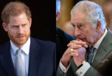 King Charles ‘Ignores’ Prince Harry As Reunion Hopes Begin To Fade