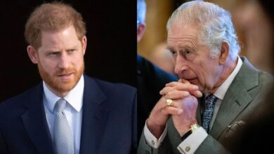 King Charles ‘Ignores’ Prince Harry As Reunion Hopes Begin To Fade