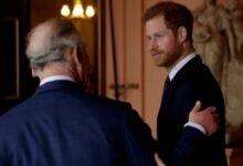 Prince Harry’s Emotional Plea Sparks Fresh Pressure On King Charles To Step In