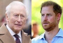 Prince Harry’s Heartbreak Inches Closer as King Charles Makes Shocking Decision