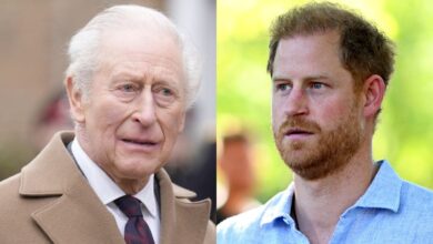Prince Harry’s Heartbreak Inches Closer as King Charles Makes Shocking Decision