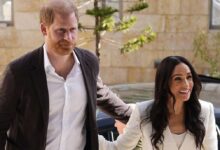 Prince Harry Faces Heartbreaking Setback As Duchess Sophie Returns To UK Without Meeting