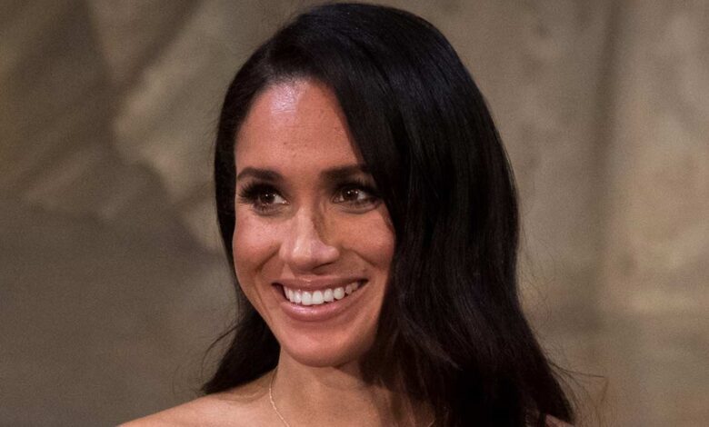 Meghan Markle Stuns Fans With Surprise Update After Netflix Setback Drama