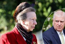 Princess Anne Faces Backlash After Showing Sympathy Toward Andrew Amid Heated Confrontation