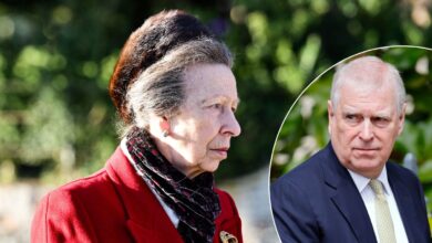 Princess Anne Faces Backlash After Showing Sympathy Toward Andrew Amid Heated Confrontation