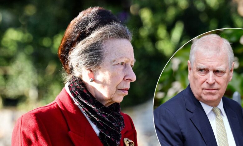 Princess Anne Faces Backlash After Showing Sympathy Toward Andrew Amid Heated Confrontation