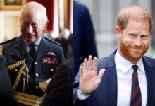 Royal Family Shares Key Update As Prince Harry Reveals New UK Mission