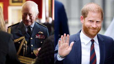 Royal Family Shares Key Update As Prince Harry Reveals New UK Mission