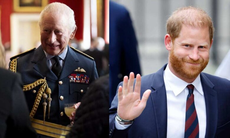 Royal Family Shares Key Update As Prince Harry Reveals New UK Mission