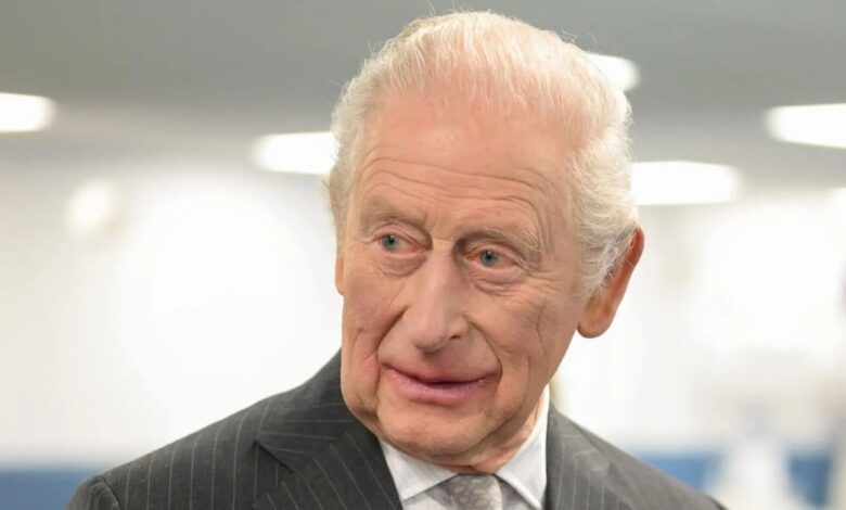 King Charles Receives Swift Help After Awkward Moment During Key Visit